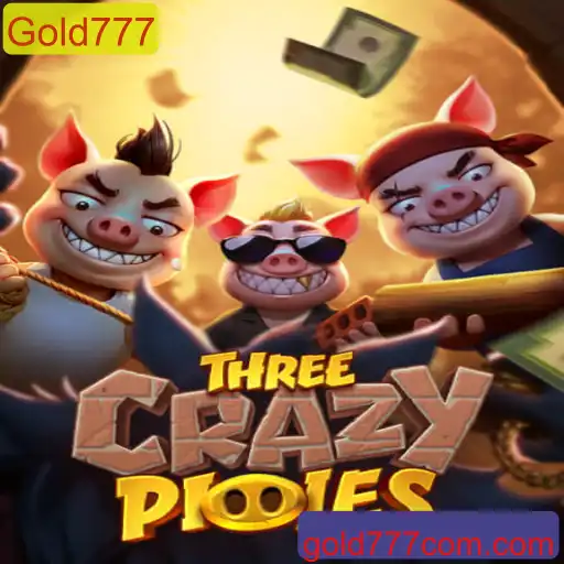 Descubra o Universo Aventureiro de ThreeCrazyPiggies